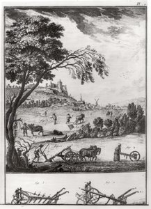 Agricoltura, tavola I dall